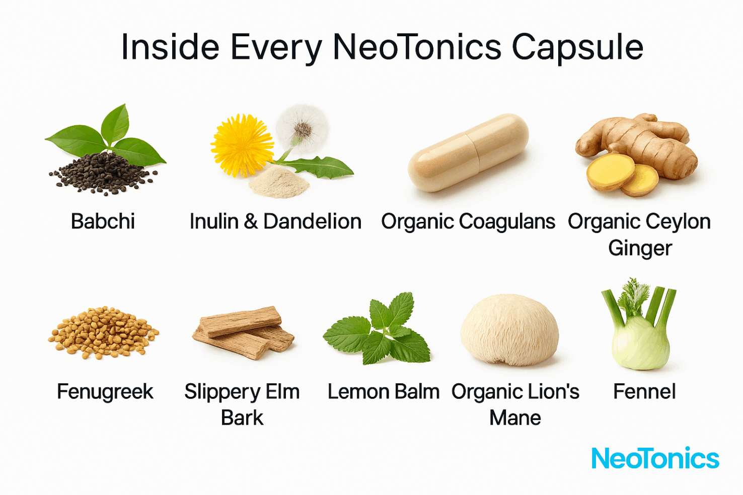 neotonics-main-ingredients